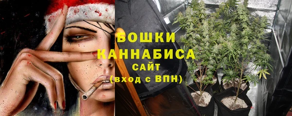 ПСИЛОЦИБИНОВЫЕ ГРИБЫ Балабаново