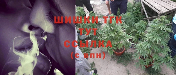 ПСИЛОЦИБИНОВЫЕ ГРИБЫ Балабаново