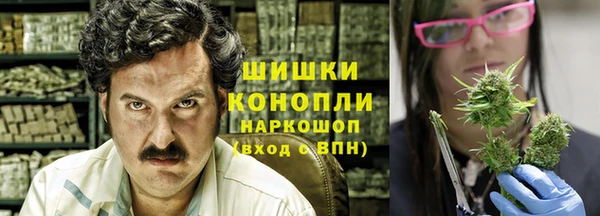 ПСИЛОЦИБИНОВЫЕ ГРИБЫ Балабаново