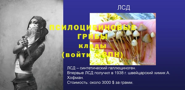 ПСИЛОЦИБИНОВЫЕ ГРИБЫ Балабаново
